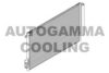 AUTOGAMMA 107290 Condenser, air conditioning